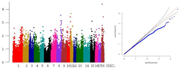 Landrace 흉폭 형질의 GWAS 분석결과