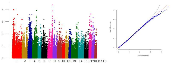 Yorkshire 검정개시체중 형질의 GWAS 분석결과