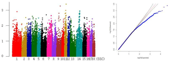 Landrace 물마시기 빈도 형질의 GWAS 분석결과