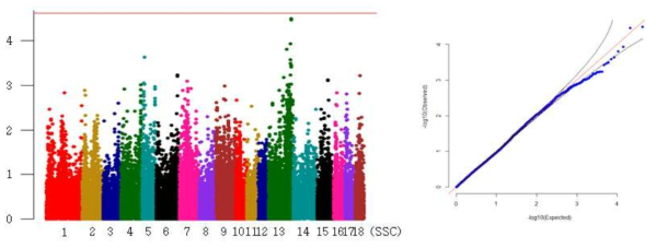 Landrace 사료 먹기 형질의 GWAS 분석결과