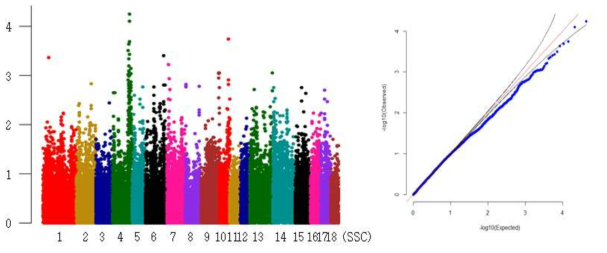 Landrace 미활동 형질의 GWAS 분석결과