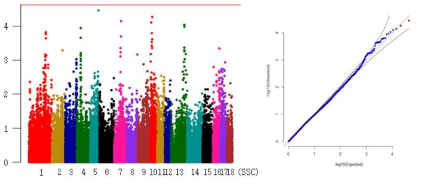 Landrace 미활동 빈도 형질의 GWAS 분석결과