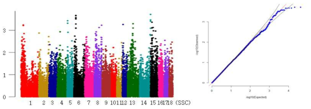 Yorkshire 사료 먹기 형질의 GWAS 분석결과