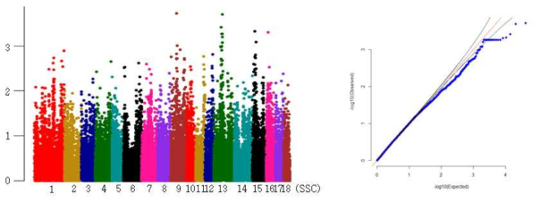 Yorkshire 미활동 형질의 GWAS 분석결과