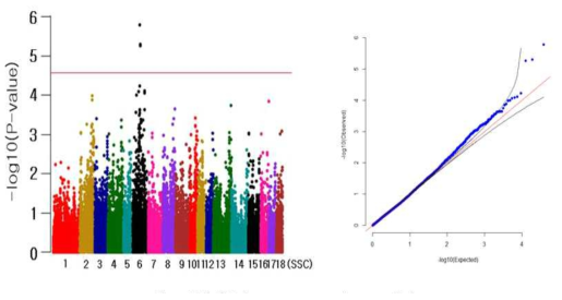 Landrace 10주령 체중 형질의 GWAS 분석결과