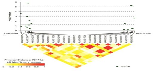 snp.plotter를 이용한 10주령 체중의 6번 염색체 LD block