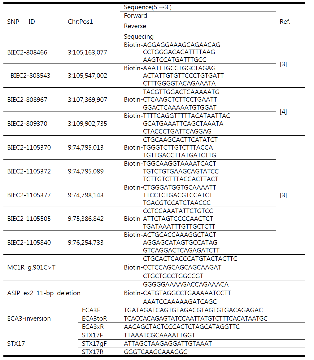 SNP 및 모색 유전자 분석용 PCR Primer