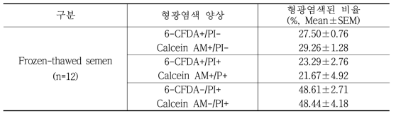 동결정액 융해 후 2가지 형광염색후 형광염색된 비율