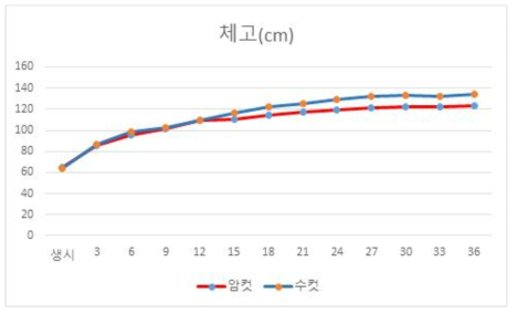 암컷과 수컷의 체고측정 결과값