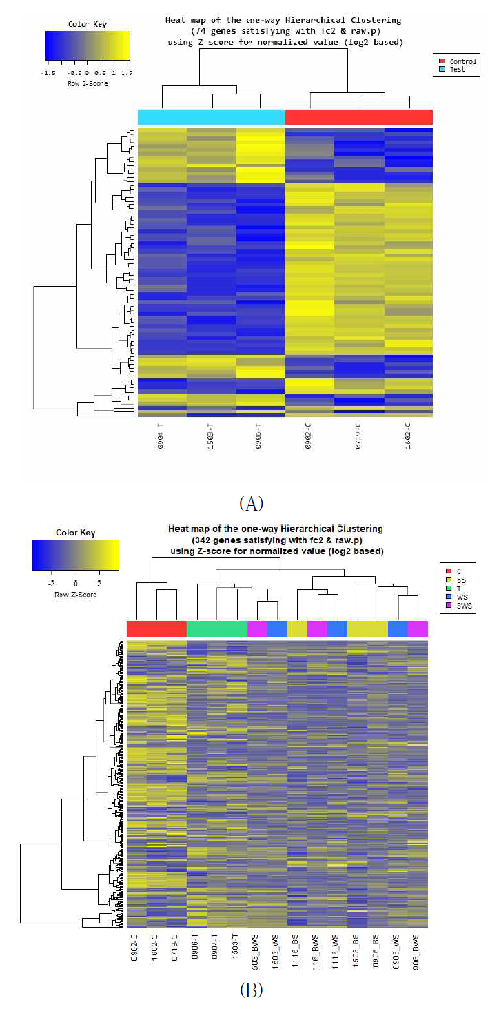 DEG 리스트에 대한 Heatmap