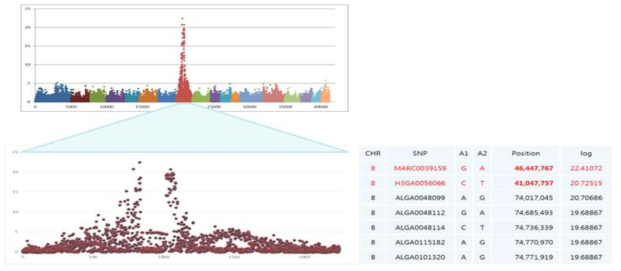 조모색 유전자 분석을 위한GWAS 분석