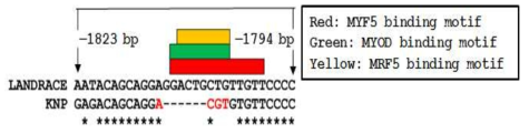 육질과 관련된 변이체에 대한 binding site 분석