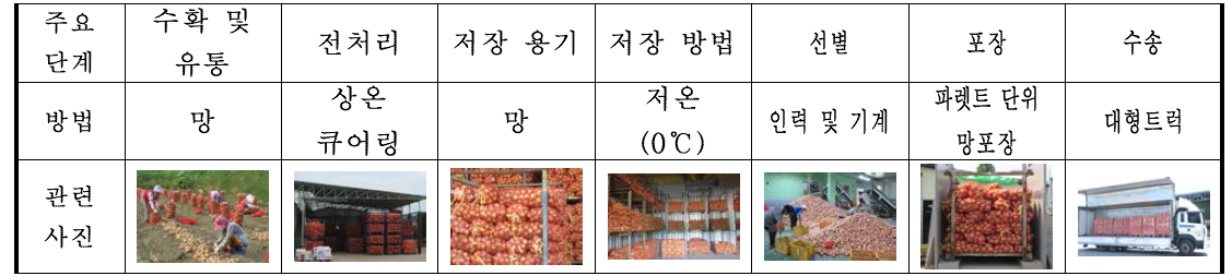 A 농협 APC의 저장 및 유통 관리 체계