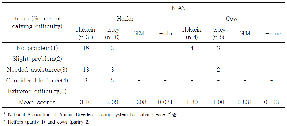 Comparison of scores of calving difficulty* on Jersey and Holstein cows