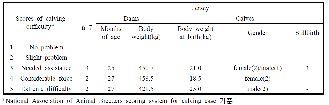 Calving difficulty of Jersey heifer