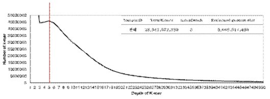 잔대의 K-mer값을 분석