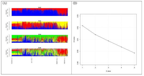공통선조 수(K value)에 따른 각 집단별 유전적 조성 차이확인(A)과 cv error수치(B)