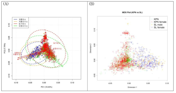 계통축 집단과 KPN 집단의 주성분석(A) 및 다차원척도법(B) 결과