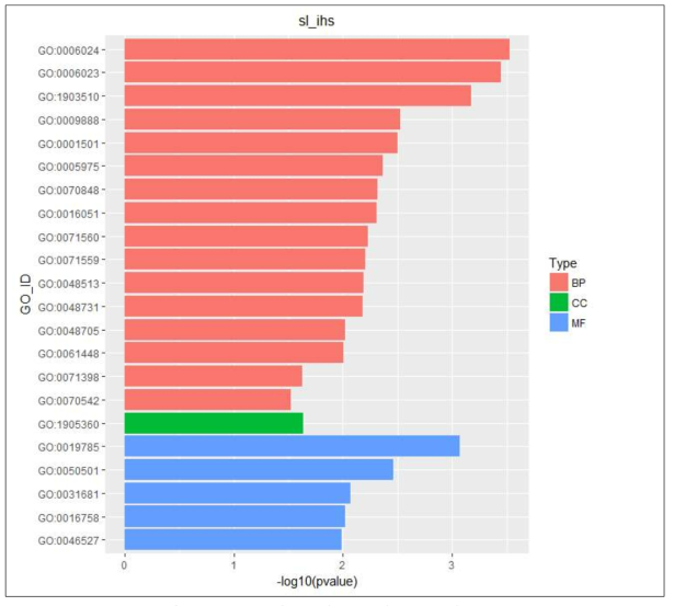 계통축 iHS의 결과로 확인된 유의적인 유전자들의 유전자 기능 탐색 결과