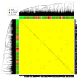 KPN과 계통축 집단 heatmap