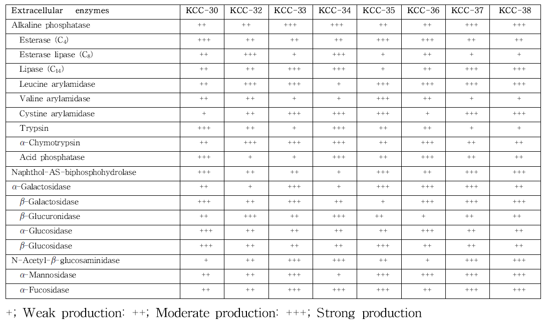 Lactobacillus 속 균주의 효소 활성