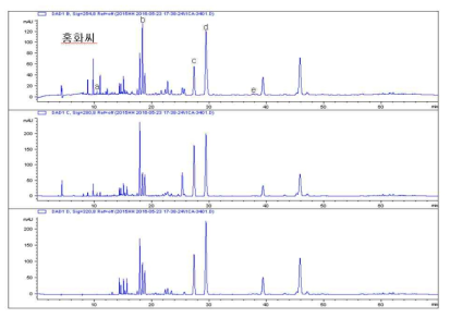 홍화씨 HPLC 파장별 패턴 분석