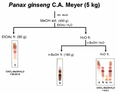 인삼으로부터 추출물 제조 및 용매 분획물 제조 과정