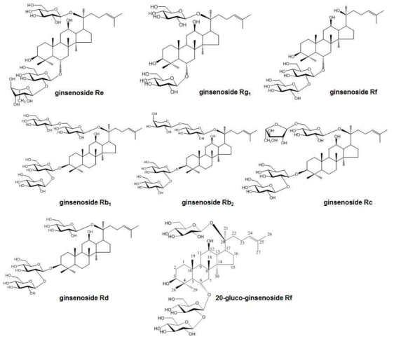 Column chromatography를 이용한 화합물의 분리 및 정제과정