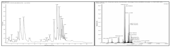 고려 인삼 내 지질 대사체의 크로마토그램 및 Mass Spectrum