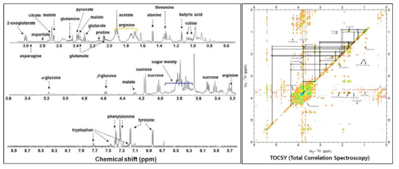 인삼 동체의 proton-NMR 및 2D-NMR 스펙트럼을 이용한 대사체 동정결과