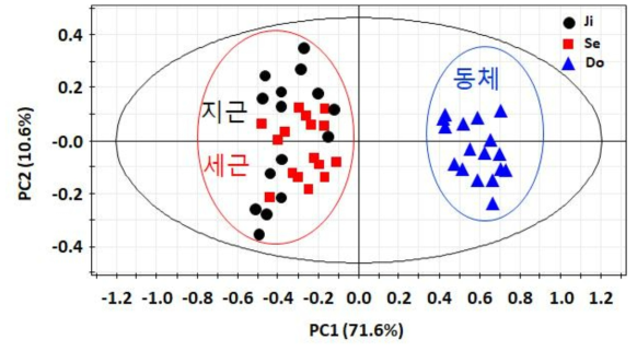 인삼의 동체, 지근 및 세근의 NMR profile데이터를 이용한 주성분 분석 결과