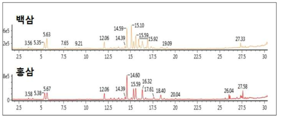 백삼 및 홍삼의 주요대사체 분석 Total ion chromatogram