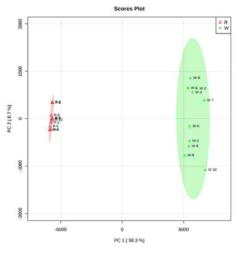백삼(n=10)과 홍삼(n=10) 대사체 데이터의 주성분분석 PCA score plot