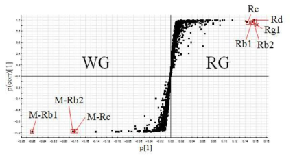 백삼(WG) 과 홍삼(RG) 대사체 데이터의 S-plot 분석