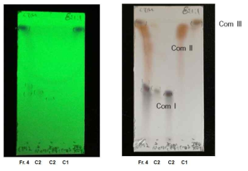 홍화꽃유래 Fr.4에서 분리된 화합물의 TLC