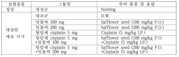 그룹별 투여 물질 및 용량