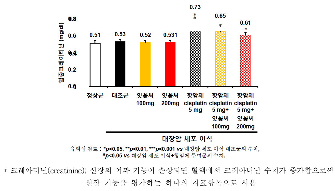 잇꽃씨 추출물과 항암제 cisplatin 병용 투여에 따른 항암제의 부작용인 신장독성 경감 효과