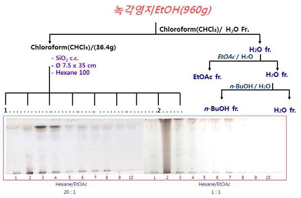 전개용매에 따른 Hexane 층의 TLC 검토