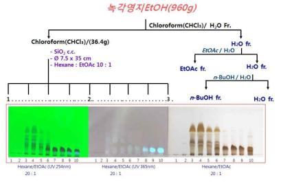 Hexane:EtOAc(10:1,v/v) 층의 TLC 검토