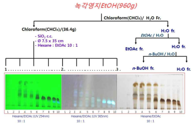 전개용매별 Hexane:EtOAc(10:1,v/v) 층의 TLC 검토