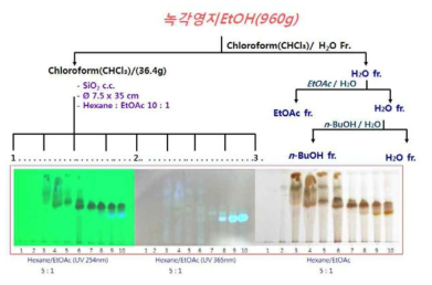 전개용매별 Hexane:EtOAc(10:1,v/v) 층의 TLC 검토