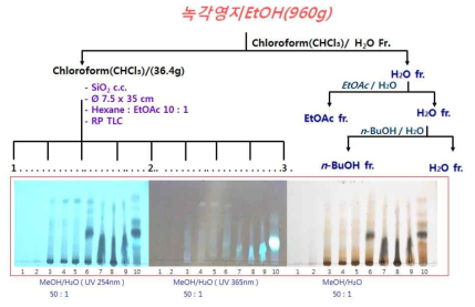 전개용매별 Hexane:EtOAc(10:1,v/v) 층의 TLC 검토