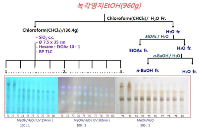 전개용매별 Hexane:EtOAc(10:1,v/v) 층의 TLC 검토