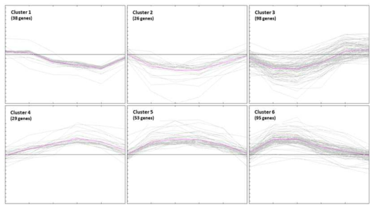 SOTA 클러스터 분석에 따른 6가지 발현패턴 구명