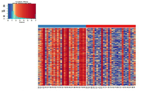 Heatmap을 이용한 차등 발현 Methylation 영역의 시각화