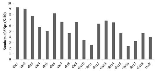 돼지 등 지방에서 전체 염색체 상의 SNP 개수의 분포