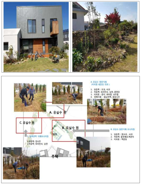 아산 외암리 주택정원 유실수 보식 실증정원