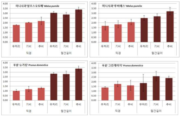 가지생장결과(미니사과, 서양자두)