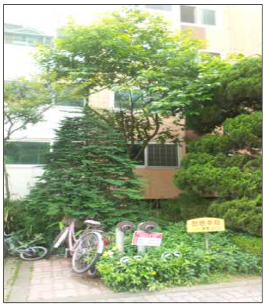 공동주택정원의 감나무 (경기도 부천)