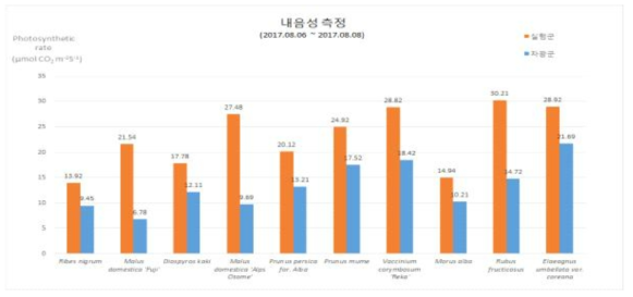 유실수의 내음성 실험 (측정항목: 광합성능)